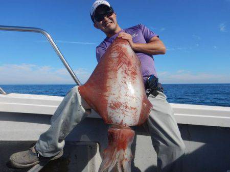 LUSTER『ラスター』 釣果