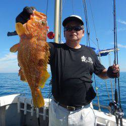 LUSTER『ラスター』 釣果