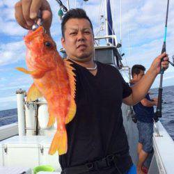 South Current 釣果