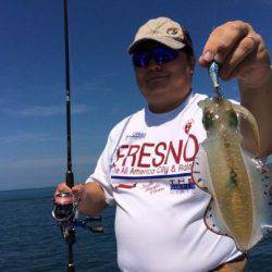 South Current 釣果