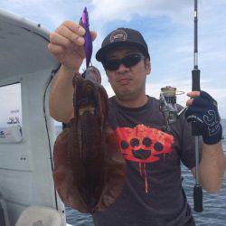 South Current 釣果