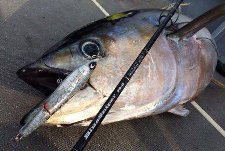 South Current 釣果