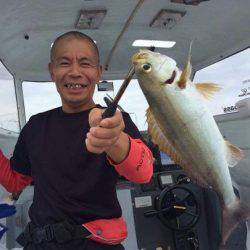 South Current 釣果