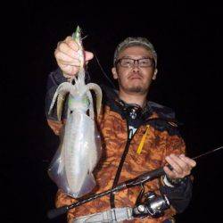 South Current 釣果