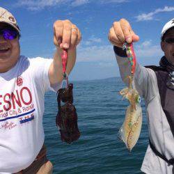 South Current 釣果