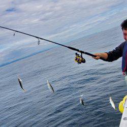 Big One　ビッグワン 釣果