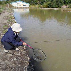 つりぼりあかし 釣果