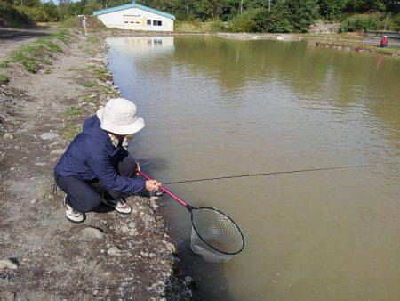 つりぼりあかし 釣果