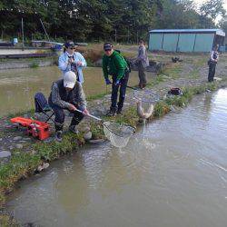 つりぼりあかし 釣果