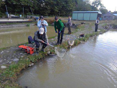 つりぼりあかし 釣果