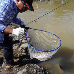 つりぼりあかし 釣果