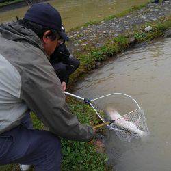 つりぼりあかし 釣果