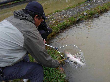 つりぼりあかし 釣果