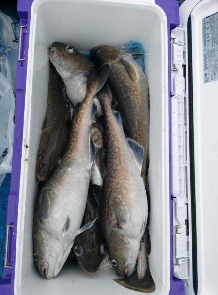 海龍丸（石川） 釣果