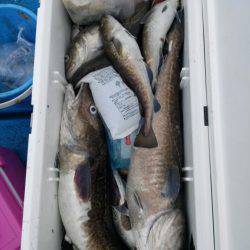 海龍丸（石川） 釣果