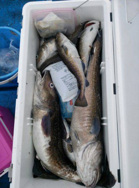 海龍丸（石川） 釣果