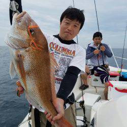 ソルトウォーターガイドフレンズ 釣果