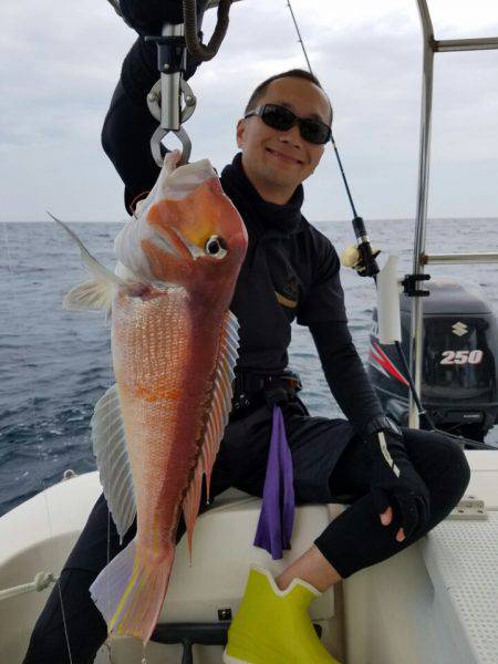 ソルトウォーターガイドフレンズ 釣果