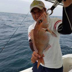 ソルトウォーターガイドフレンズ 釣果