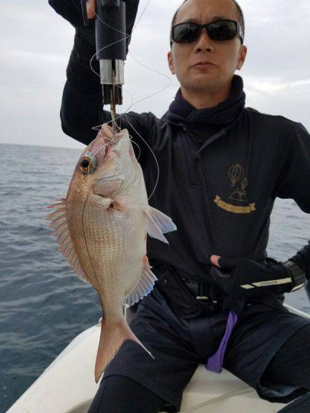 ソルトウォーターガイドフレンズ 釣果