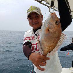 ソルトウォーターガイドフレンズ 釣果