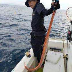 ソルトウォーターガイドフレンズ 釣果