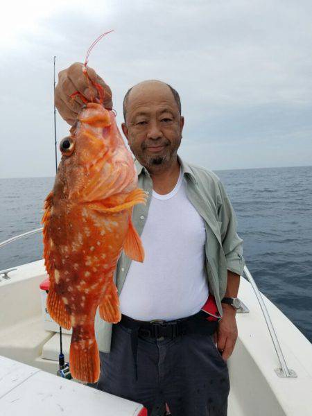 ソルトウォーターガイドフレンズ 釣果