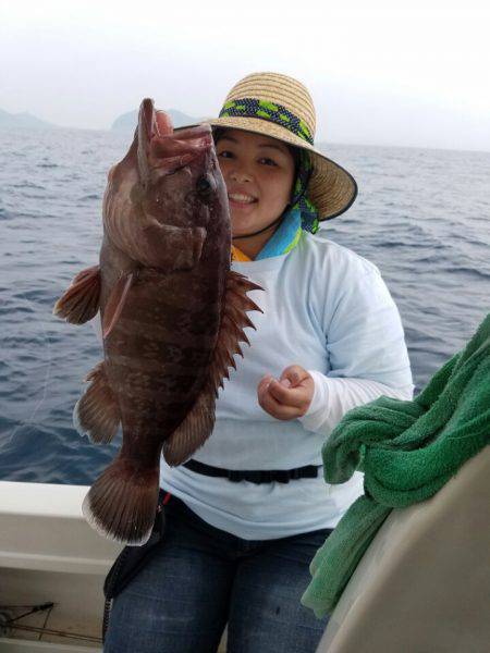 ソルトウォーターガイドフレンズ 釣果