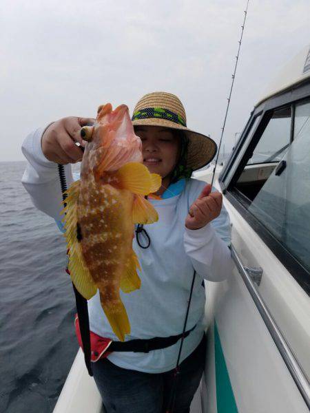 ソルトウォーターガイドフレンズ 釣果