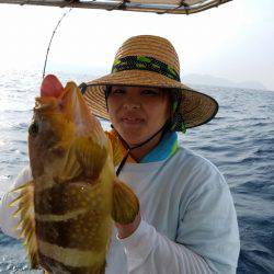 ソルトウォーターガイドフレンズ 釣果