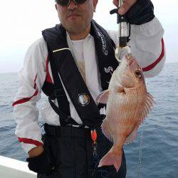 ソルトウォーターガイドフレンズ 釣果