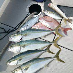 エンペラー 釣果