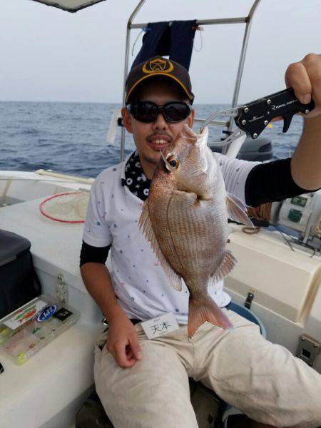 ソルトウォーターガイドフレンズ 釣果