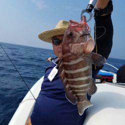 ソルトウォーターガイドフレンズ 釣果