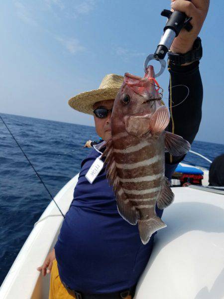 ソルトウォーターガイドフレンズ 釣果