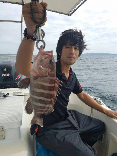 ソルトウォーターガイドフレンズ 釣果