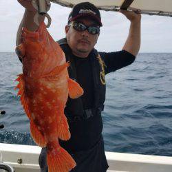 ソルトウォーターガイドフレンズ 釣果