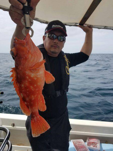 ソルトウォーターガイドフレンズ 釣果