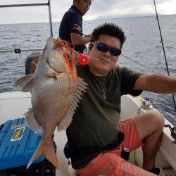 ソルトウォーターガイドフレンズ 釣果