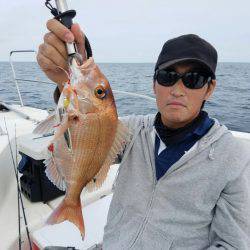 ソルトウォーターガイドフレンズ 釣果