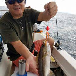 ソルトウォーターガイドフレンズ 釣果