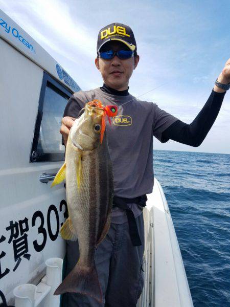 ソルトウォーターガイドフレンズ 釣果