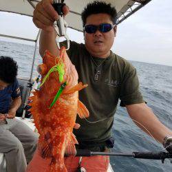 ソルトウォーターガイドフレンズ 釣果