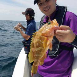 ソルトウォーターガイドフレンズ 釣果