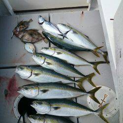 エンペラー 釣果