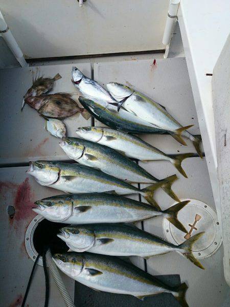 エンペラー 釣果