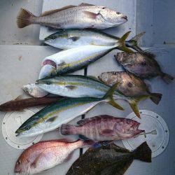 エンペラー 釣果