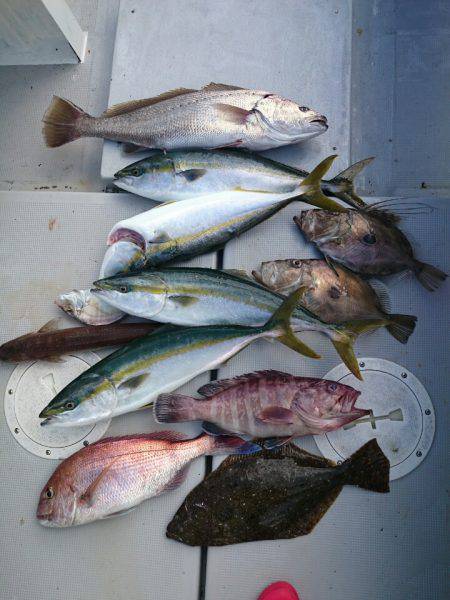 エンペラー 釣果