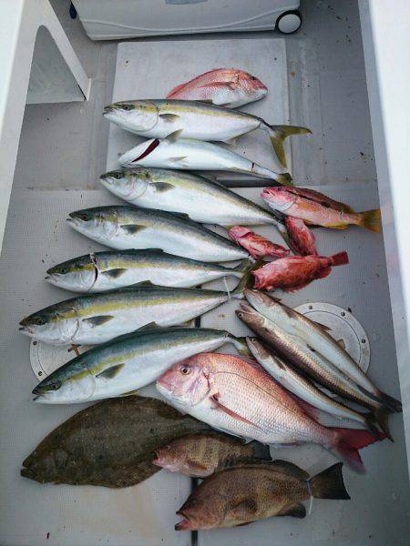 エンペラー 釣果