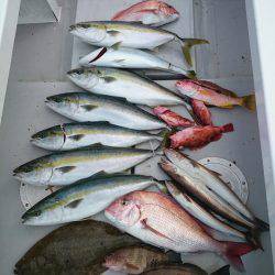 エンペラー 釣果